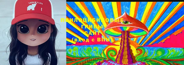 индика Абдулино
