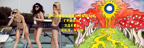 гидра Абинск