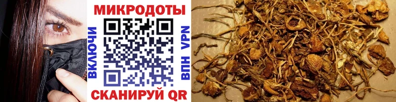 сколько стоит  Фатеж  Галлюциногенные грибы мицелий 